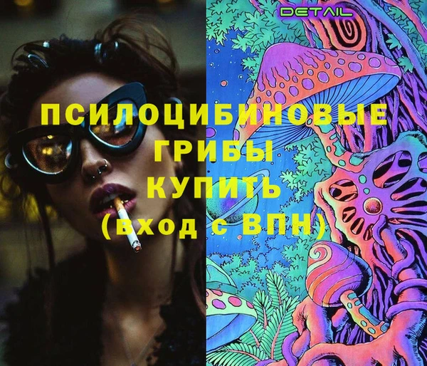 соль ск Бугульма