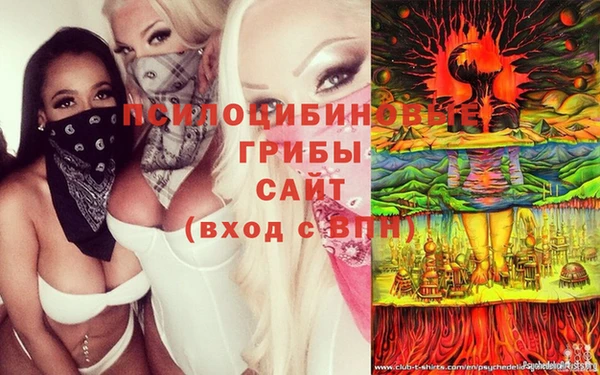 стафф Ростов